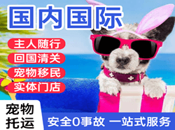 重庆梁平国际宠物托运 【国